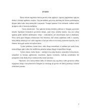Šeima ir ugdymas 3 puslapis
