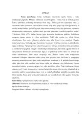 Šeima kaip vaiko socializacijos šaltinis 2 puslapis