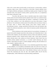 Šeima kaip vaiko socializacijos šaltinis 5 puslapis