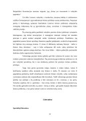 Šeimos padėtis Lietuvos politikoje 14 puslapis