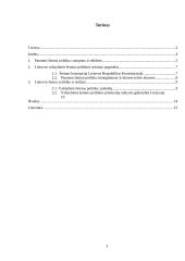 Šeimos padėtis Lietuvos politikoje 3 puslapis