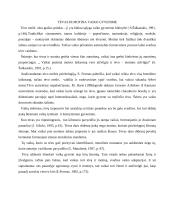 Šeimos struktūros įtaka vaiko ugdymui 5 puslapis