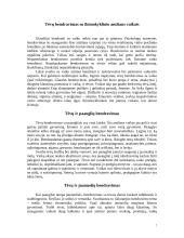 Šeimos tarpusavio santykių įtaka vaiko gyvenime 6 puslapis