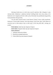 Šeši būdai tapti mėgstamu žmogumi 3 puslapis