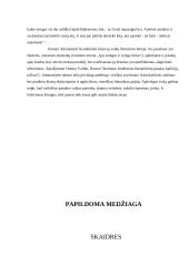 Šiuolaikinė lietuvių vaikų literatūra 17 puslapis