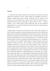 Šiuolaikinės ekonomikos privalumai ir trūkumai 3 puslapis