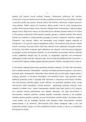 Šiuolaikinės ekonomikos privalumai ir trūkumai 6 puslapis