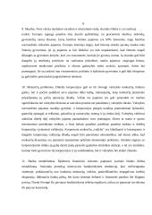 Šiuolaikinės ekonomikos privalumai ir trūkumai 7 puslapis