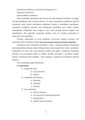 Tarptautinė teisinė atsakomybė 4 puslapis