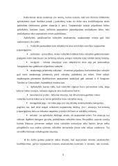 Tarptautinė teisinė atsakomybė 7 puslapis