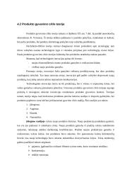 Tarptautinės ekonomikos teorijos 12 puslapis