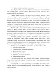 Tarptautinės ekonomikos teorijos 13 puslapis