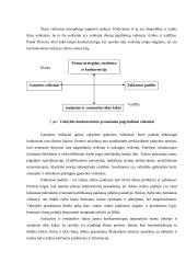 Tarptautinės ekonomikos teorijos 18 puslapis