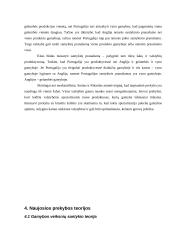 Tarptautinės ekonomikos teorijos 9 puslapis