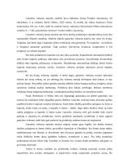 Tarptautinės ekonomikos teorijos 10 puslapis