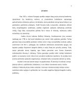 Tarptautiniai audito standartai 2 puslapis