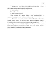 Tarptautiniai audito standartai 11 puslapis