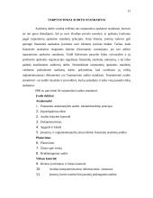 Tarptautiniai audito standartai 12 puslapis