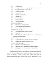 Tarptautiniai audito standartai 13 puslapis