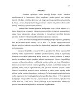 Tarptautiniai audito standartai 17 puslapis