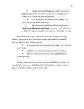 Tarptautiniai audito standartai 4 puslapis