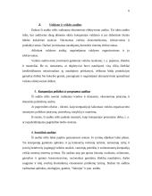 Tarptautiniai audito standartai 6 puslapis