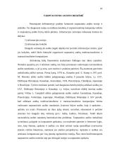 Tarptautiniai audito standartai 10 puslapis