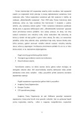 Tarptautinių sutarčių sąvoka ir rūšys 11 puslapis