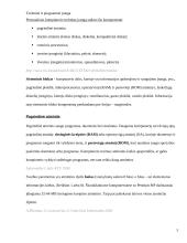 Techninė ir programinė įranga 4 puslapis