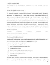 Techninė ir programinė įranga 8 puslapis