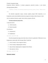 Techninė ir programinė įranga 10 puslapis