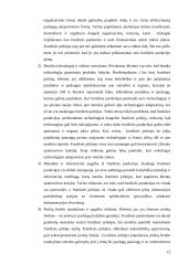 Techninės kūrybos metodai. Licenzijos 13 puslapis