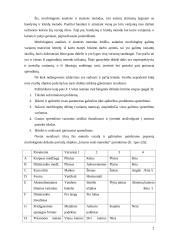 Techninės kūrybos metodai. Licenzijos 3 puslapis