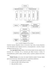 Techninės kūrybos metodai. Licenzijos 7 puslapis