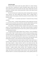 Techninės kūrybos metodai. Licenzijos 9 puslapis