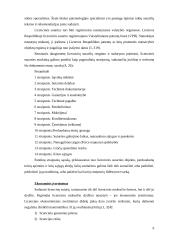 Techninės kūrybos metodai. Licenzijos 10 puslapis