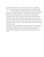 Teisės bei valstybės santykis 3 puslapis