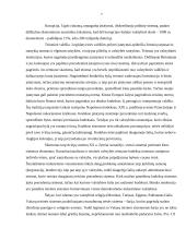 Teisės bei valstybės santykis 7 puslapis