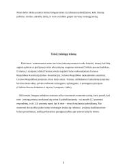 Teisės į teisingą teismą realizavimas 3 puslapis