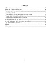 Teisės ir politikos santykis 2 puslapis