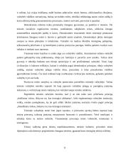 Teisės ir politikos santykis 11 puslapis