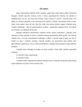 Teisės ir politikos santykis 13 puslapis