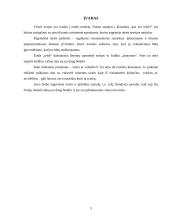 Teisės ir politikos santykis 3 puslapis