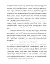 Teisės ir politikos santykis 9 puslapis