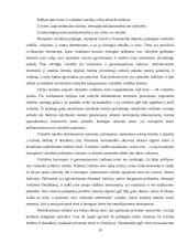 Teisės ir politikos santykis 10 puslapis