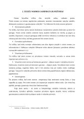 Teisės normų samprata 3 puslapis