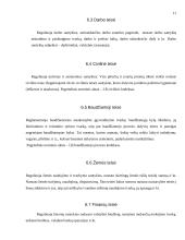 Teisės normų tema 11 puslapis
