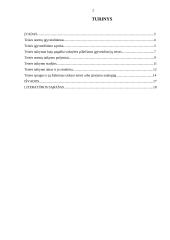 Teisės normų įgyvendinimas 2 puslapis