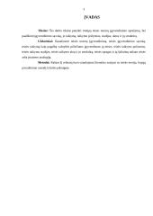 Teisės normų įgyvendinimas 3 puslapis