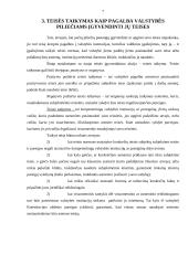 Teisės normų įgyvendinimas 7 puslapis